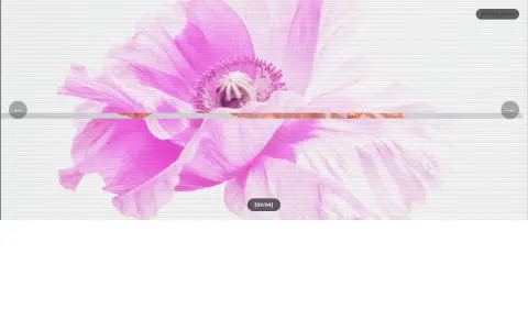 Glitch Wave Gallery