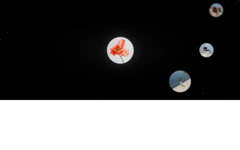 Gravitational Cluster Gallery