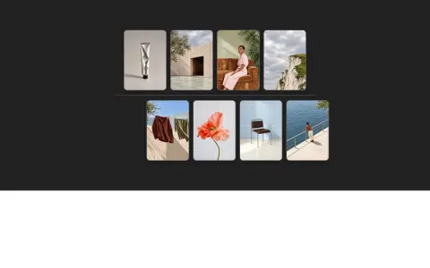 Zipper Interlock Gallery