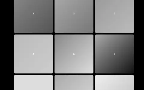 FLIP Gallery