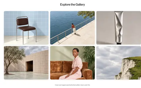 Image Grid Ken Burns